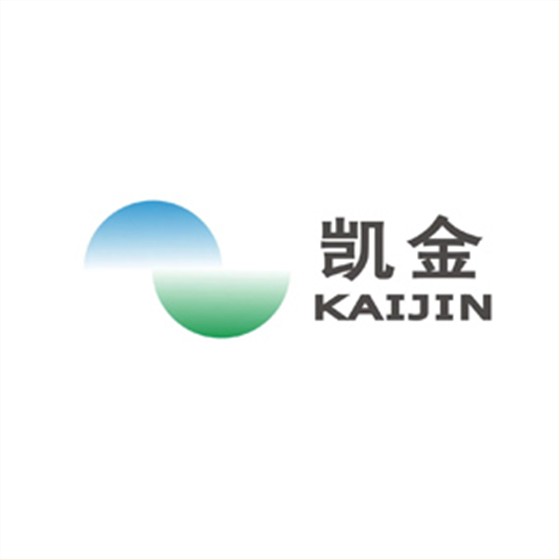 凯金股份