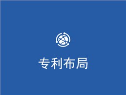 专利布局